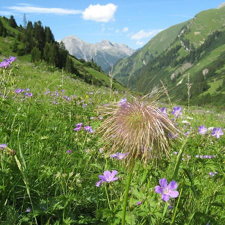 Ferienwohnungen Schlichtherle Bach  Εξωτερικό φωτογραφία
